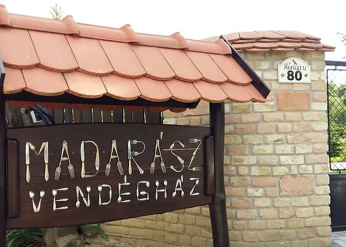 Madarász Nyúl