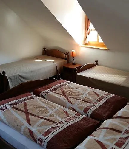 Madarász
